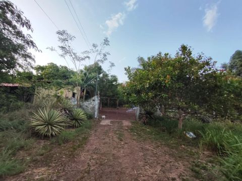 Sítio de 6 hectares com área verde e duas casas 