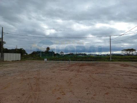 Três lotes juntos a venda em Barra velha