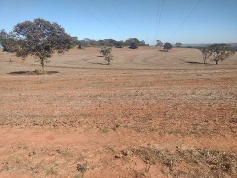 FAZENDA COM 1.000HEC PRA GRAOS, BEM LOCALIZADA!!