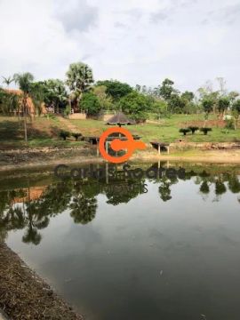 Vende sitio zona rural em ribeirao corrente