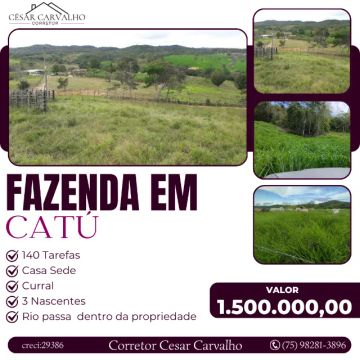 FAZENDA EM CATÚ -140 TAREFAS