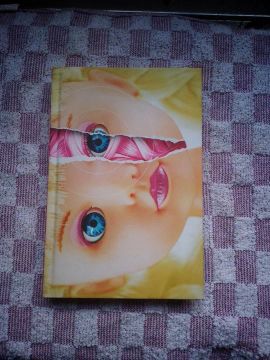 Livro Capa Dura Darkside - Menina Má - Willian March 
