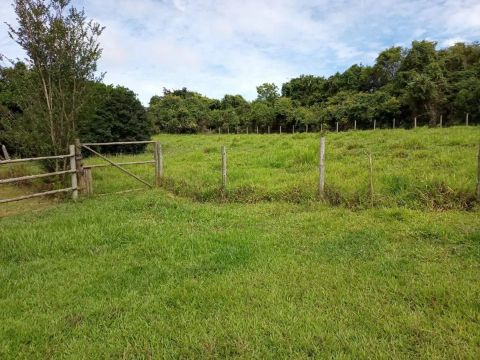 Sítio na Área Rural de Nova Ponte