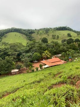 Chácara no município de Aparecida do Rio Negro-TO