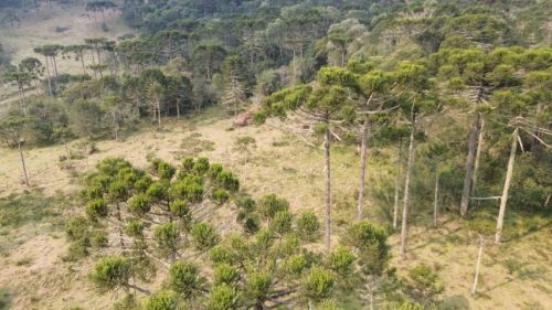 Terreno Urubici