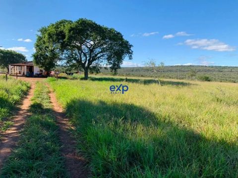 Fazenda em Morro do Chapéu
