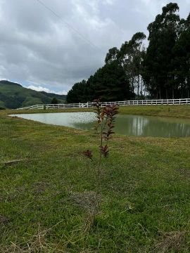 Melhor  terreno de alfredo wagner 3700 metros quadrados