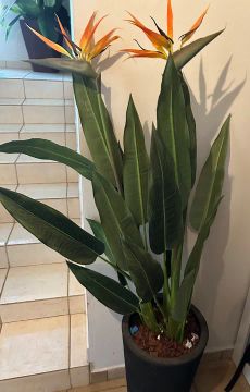 Planta com vaso artificial 