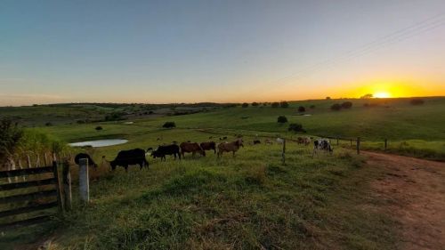 Vendo linda fazenda com 284 tarefas de solo fértil