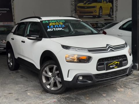 C4 CACTUS FEEL 2023