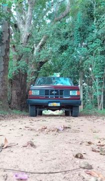 Chevrolet c20 1987