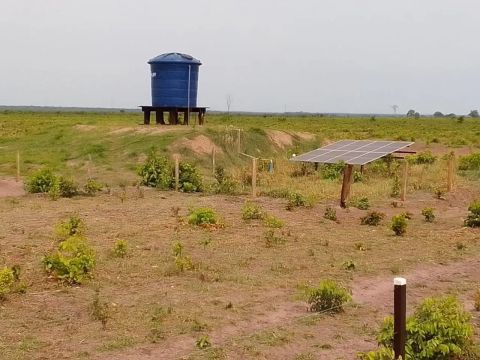 FAZENDA À VENDA  LAMBARI DOESTE/MT