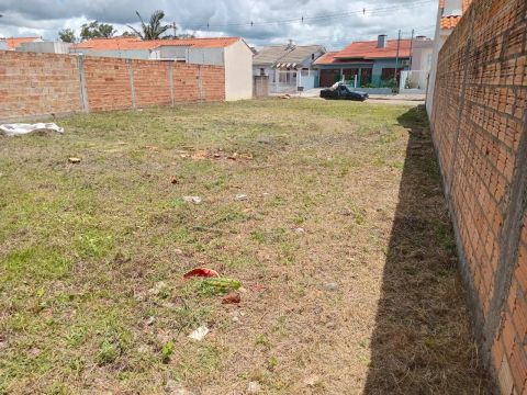 Vendo Terreno 12,5x 31 - Loteamento Vivenda/São Gabriel - RS