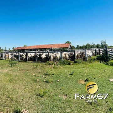 exelente oportunidade em Porto murtinho-Ms