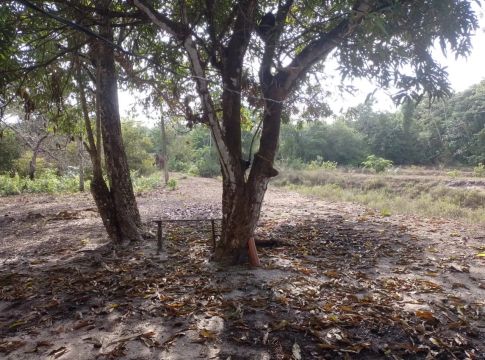 Venda de sítio / terreno 