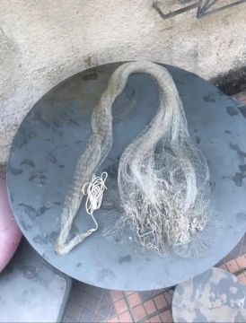 Tarrafa de Pesca