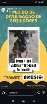 Doação de fêmea 