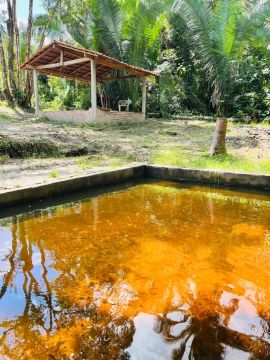 Espaco com PISCINA NATURAL