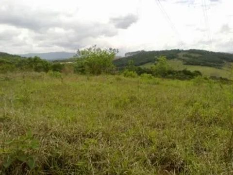 Venda Commercial / Land Lot Congonhas MG