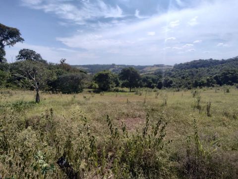 Oportunidade Sítio 20.000m2 9km do centro de Saltinho próx. Piracicaba