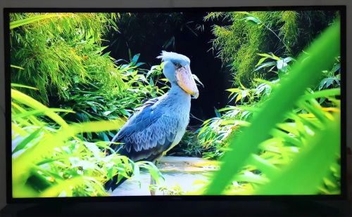 Smart TV Samsung 49 polegadas 