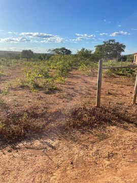Chácara 1000 M2 próximo a Glaucilândia 