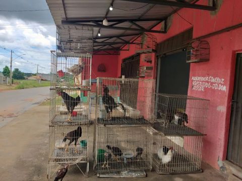 Casa de ração pet shop
