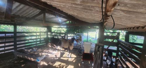 Chácara Mini-Fazenda