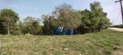 Chácara à venda, 21716 m² por R$ 600.000,00 - Roça Grande - Colombo/PR