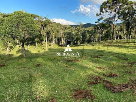 Chácara com pastagem e nascentes - 75.468 m2