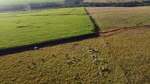 Fazenda 80 alqueires em Uberlândia.