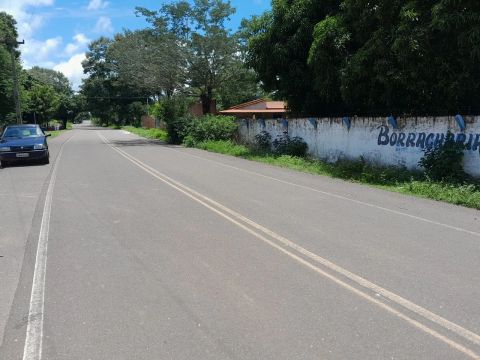 Terreno com área verde, beira da avenida, bem movimentado