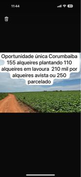 FAZENDA DE OPORTUNIDADE GOIÁS 