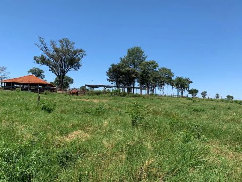Excelente fazenda no triângulo mineiro 