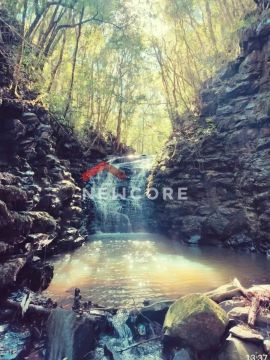 Chácara em Fazenda Souza (Caxias do Sul) - Centro - Fazenda Souza/RS