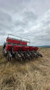 Plantadeira Massey Ferguson MF 508