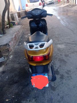 Toda boa *77