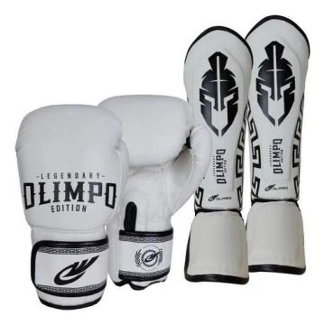 LUVA E CANELEIRA DE MUAY THAI(KIT PROFISSIONAL)