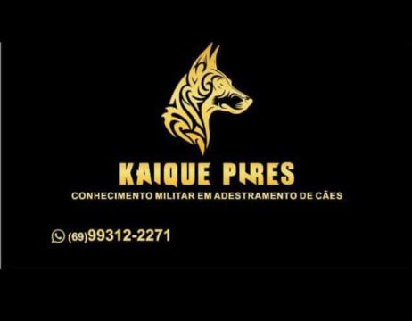 Adestrador de cães.