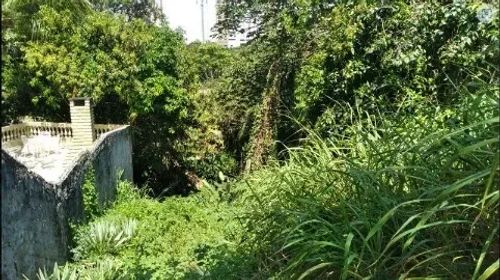 Imóvel para venda tem 950 metros quadrados em Patamares - Salvador - BA