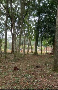 Terreno com Área Verde em Local Tranquilo