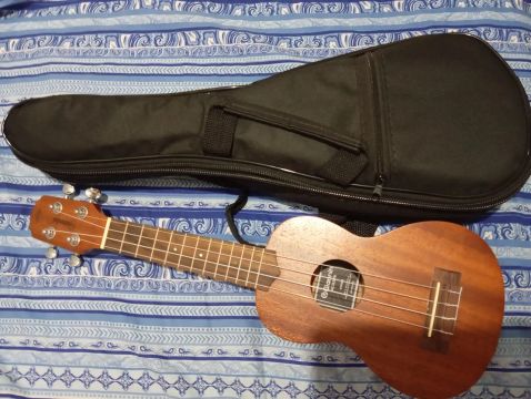 Ukulele Gianini acústico 
