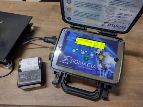 Balanças e peças para pesagens de Gado e grãos 