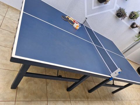 Mesa de ping pong professional