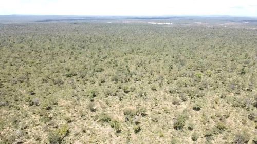 Fazenda em Gilbués-PI. 1000 hectares, para plantio e agropecuária. Contato: *