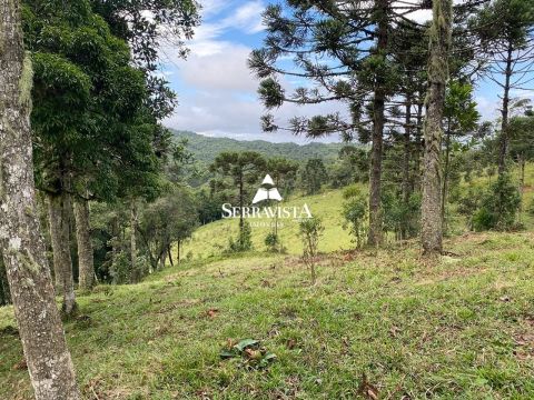 Área elevada com araucárias - 83.519 m2