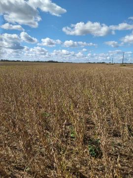 Fazenda para agricultura, com 1506 Hectares