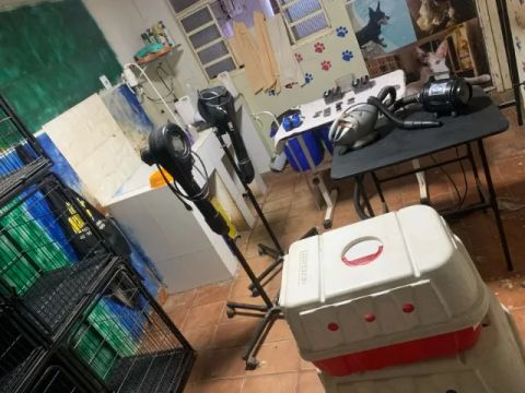 Materiais para Pet Shop Completo