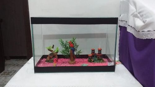 Aquario  42 litros com acessórios 