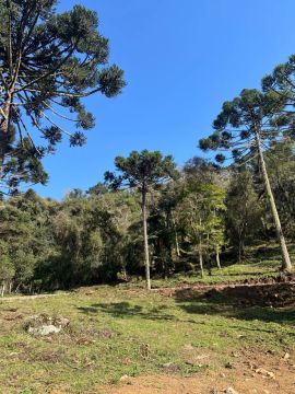 Sítio 4,7 hectares com vista para montanhas Urubici SC - 